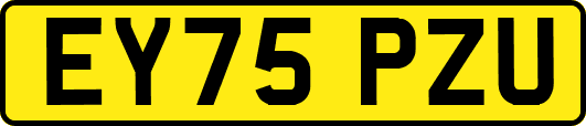 EY75PZU