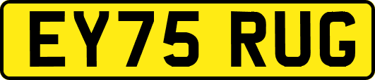 EY75RUG