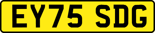 EY75SDG