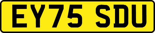EY75SDU
