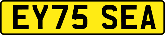 EY75SEA