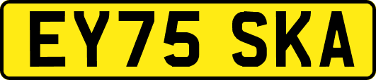 EY75SKA