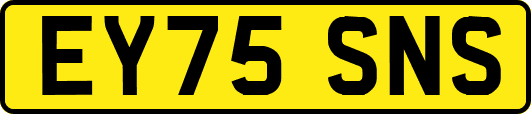 EY75SNS