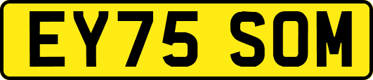 EY75SOM