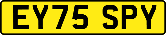 EY75SPY