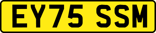 EY75SSM