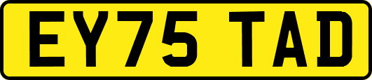 EY75TAD