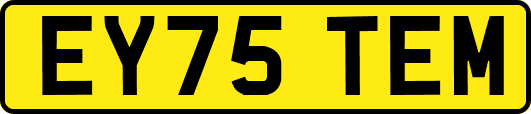 EY75TEM