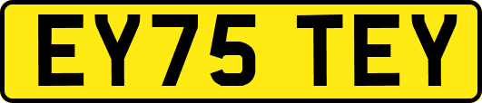 EY75TEY