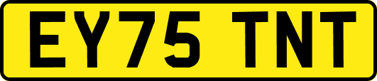 EY75TNT