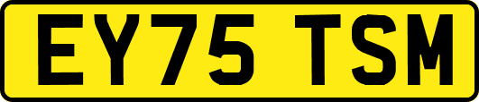 EY75TSM