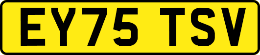 EY75TSV