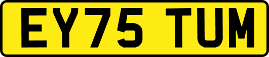 EY75TUM