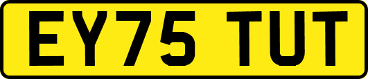 EY75TUT
