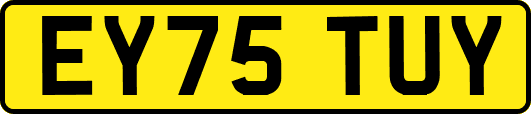 EY75TUY