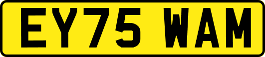 EY75WAM