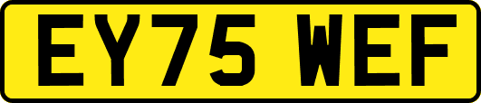 EY75WEF