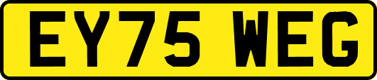 EY75WEG
