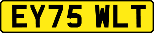 EY75WLT