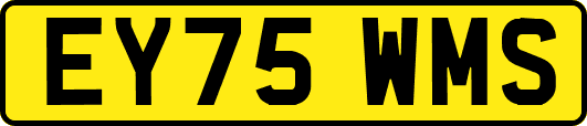 EY75WMS