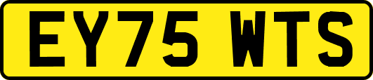 EY75WTS
