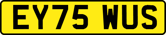 EY75WUS
