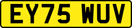 EY75WUV