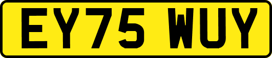 EY75WUY
