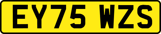 EY75WZS