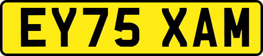 EY75XAM