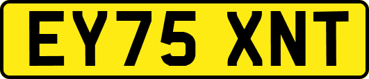 EY75XNT