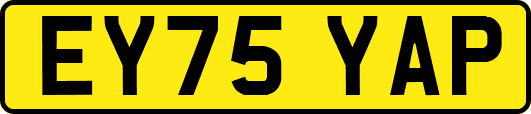 EY75YAP