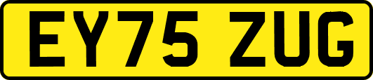 EY75ZUG