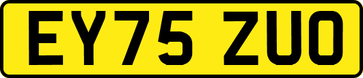 EY75ZUO