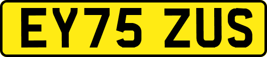 EY75ZUS