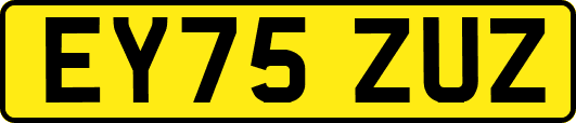 EY75ZUZ