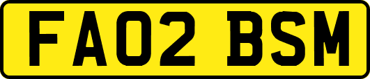 FA02BSM
