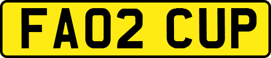 FA02CUP