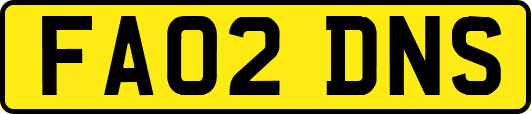 FA02DNS