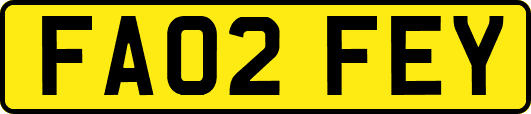 FA02FEY