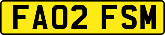 FA02FSM