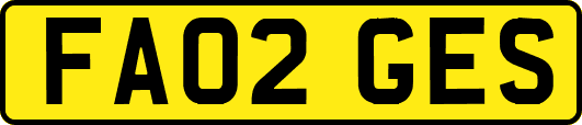 FA02GES