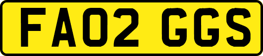 FA02GGS