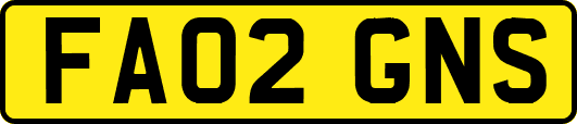 FA02GNS