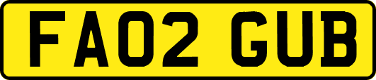 FA02GUB