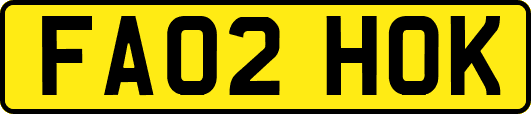 FA02HOK