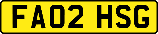 FA02HSG