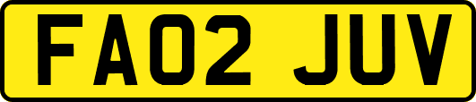 FA02JUV