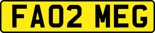 FA02MEG