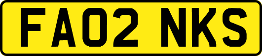 FA02NKS